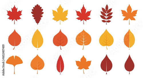 Vector Icons Set of Colorful Autumn Leaf Collection A Stylized Vector Set of Diverse Foliage Icons. Vector Illustrations. EPS Editable