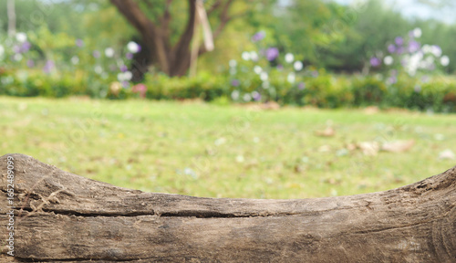 Wallpaper Mural Tree Trunk Podium on green background in nature garden. used for montage or display your products. Torontodigital.ca