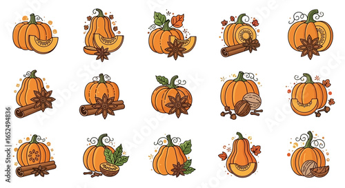 Vector Icons Set of Whimsical Pumpkin Spice Illustrations with Cinnamon Anise and Nutmeg. Vector Illustrations. EPS Editable