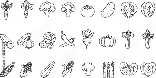 Fresh vegetable icons, carrot, broccoli, tomato, potato, cucumber, corn, mushroom, pumpkin, healthy food illustration