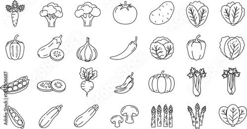 Vegetable icons collection, carrot, broccoli, tomato, potato, lettuce, garlic, cucumber, chili, pumpkin, asparagus, mushroom