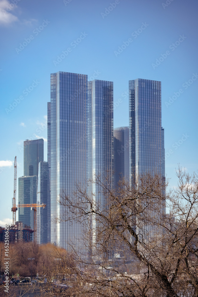 Obraz premium Modern skyscrapers with glass facades rise against a clear blue sky, framed by bare tree branches in foreground