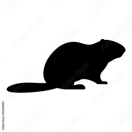Black Silhouette of a North American Beaver Against a White Background
