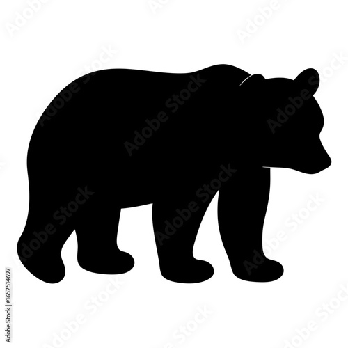 Silhouette of a powerful grizzly bear walking with grace and determination