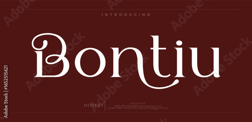 Bountiu Abstract Fashion font alphabet. Minimal modern urban fonts for logo, brand etc. Typography typeface uppercase lowercase and number. vector illustration