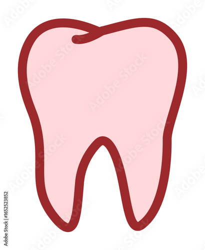 Human Tooth Anatomy Vector Illustration