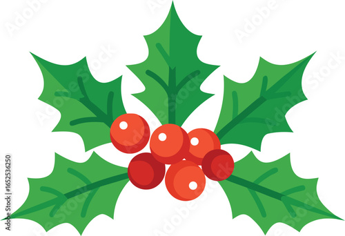 Festive Holly Berry Illustration with Green Leaves for Christmas Season