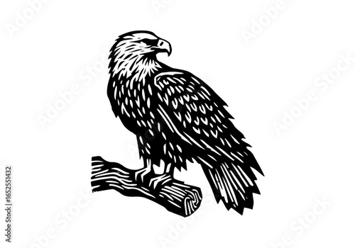 Eagle Linocut Hand Drawn Natural Illustration Vector Isolated by AZ for Books, Arts, Design and Decoration Graphic Asset