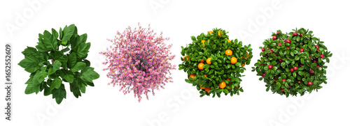 Variety Rounded Garden Bushes Set, Green, Pink, Orange, Red Fruit, Top View, Landscape Architecture Plan Elements, Isolated Cutout, Transparent Background