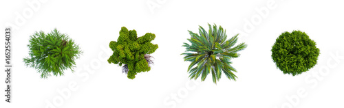 Assorted Green Garden Shrubs, Landscape Design Elements, Architecture Plan Layout, Top View, Nature Cutout, Environment Plants, Flat Style - Transparent Background