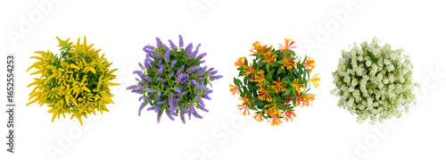 Assorted Colorful Flower Shrubs, Overhead View, Landscape Elements, Garden Design Plants, Round Shape, Detailed Texture, Cutout Illustration, Transparent Background