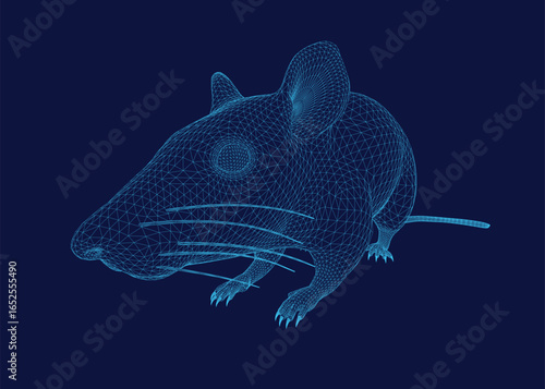 A 3D wireframe rat model stands out against a dark blue background, showcasing intricate skeletal details. The digital rendering features clean lines and geometric shapes.