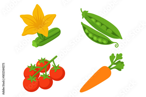 Fresh garden vegetable icons. Healthy food concept. Organic farm produce. Zucchini flower, green pea pod, cherry tomato on vine, carrot. Vector flat design element set.