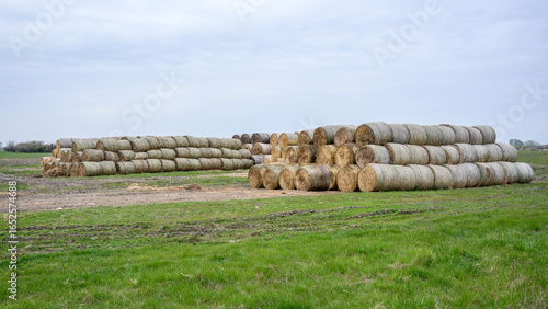 Neatly Stacked Logs in a Green Field Under a Cloudy Sky