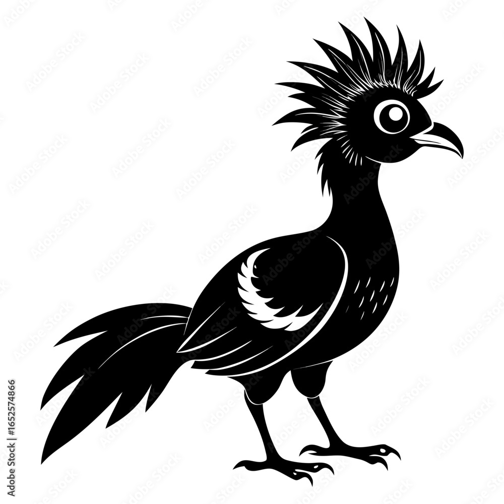 Fototapeta premium Hoatzin vector clean black silhouette design white background