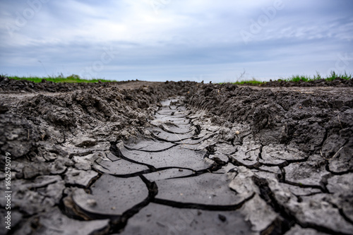 Cracked Dry Earth Road Under Overcast Sky