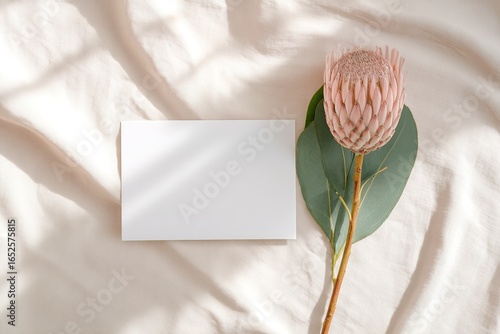 White card with king protea flower