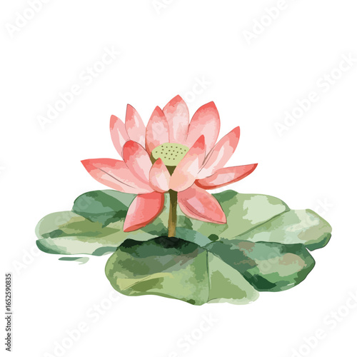 Delicate Watercolor Lotus Blossom and Leaves