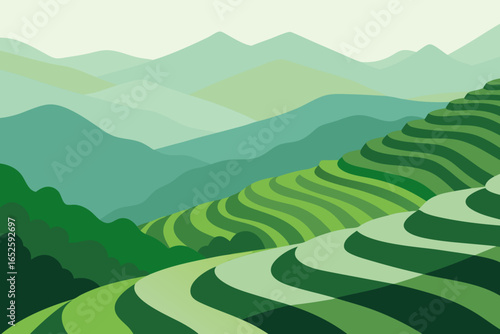 landscape with green hills