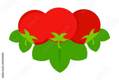 fresh red tomatoes on green spinach leaves isolat.