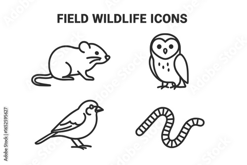 Field wildlife animal icon set. Outline collection of meadow biodiversity symbols. Simple line art illustration of a meadow mouse, barn owl, field sparrow, and earthworm.
