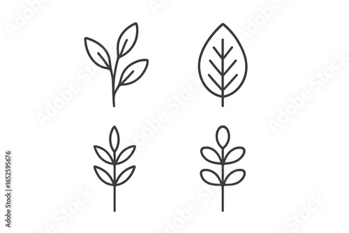 Set of four botanical outline icons. Linear minimalist plant and leaf symbols for eco and organic concepts. Vector illustration of simple floral elements for graphic design.