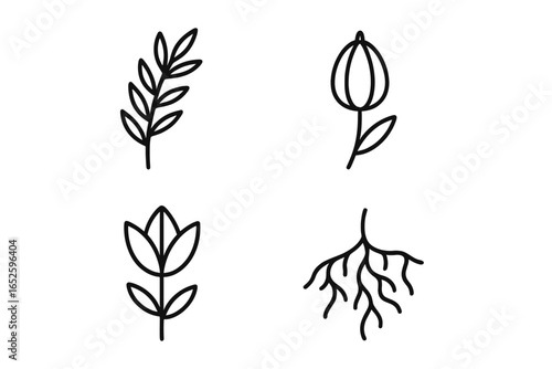 Botanical line icon set. Minimalist outline drawings of plant life cycle elements. Includes leaf branch, flower bud, tulip, and root system. Simple clean vector for nature themes.