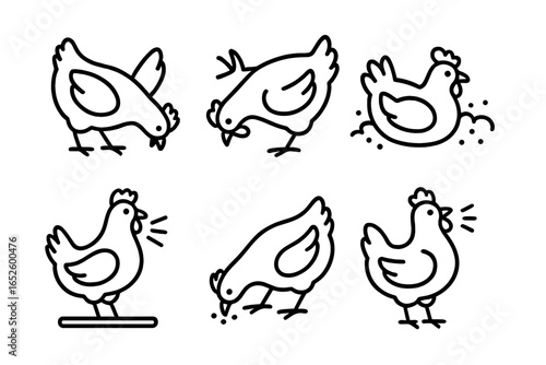 Chicken behavior icons set. Line art collection showing pecking, scratching, dust bathing, roosting, clucking, and foraging. Farm poultry bird vector illustration.