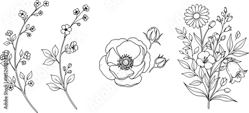 Illustration showcasing a variety of botanical elements including flowers buds and leafy branches artfully rendered