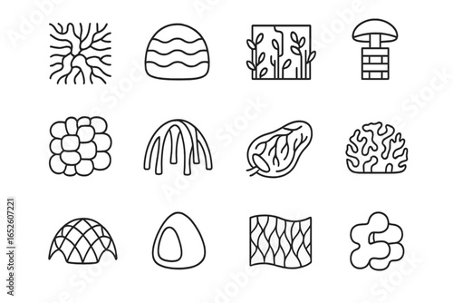 Wall icon brick mycelium organic coral vector shape skin dome structure icons