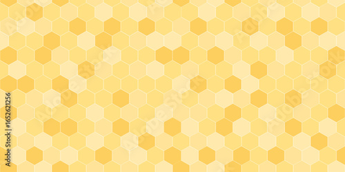 Crusted honeycomb seamless pattern. Honey combs horizontal background, vector illustration