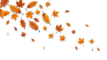 Autumn leaves corner isolated on white background with copy space.