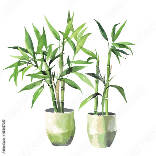 Two Potted Bamboo Plants with Watercolor Texture and Varied Green Tones