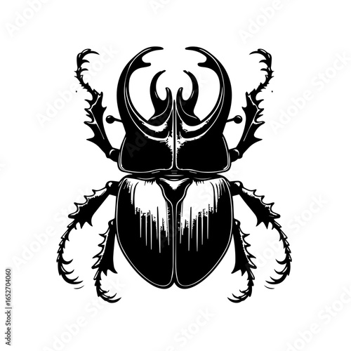 Illustration of a beetle with horns isolated on white background