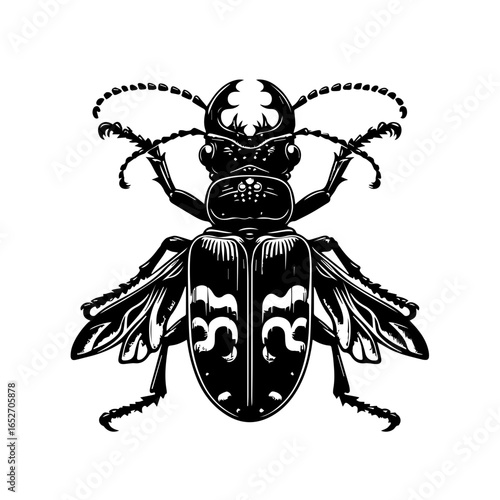 Detailed beetle illustration isolated on white background in vintage style