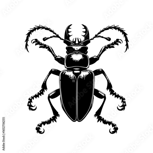 Detailed stag beetle illustration isolated on white background