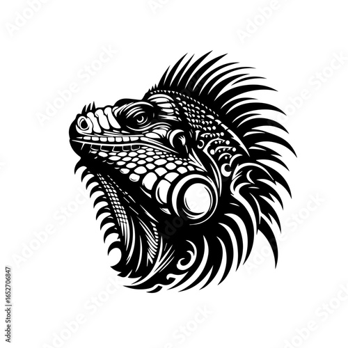 Iguana head isolated on white background
