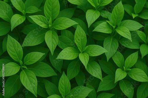 Vibrant Natural Plant for E...
