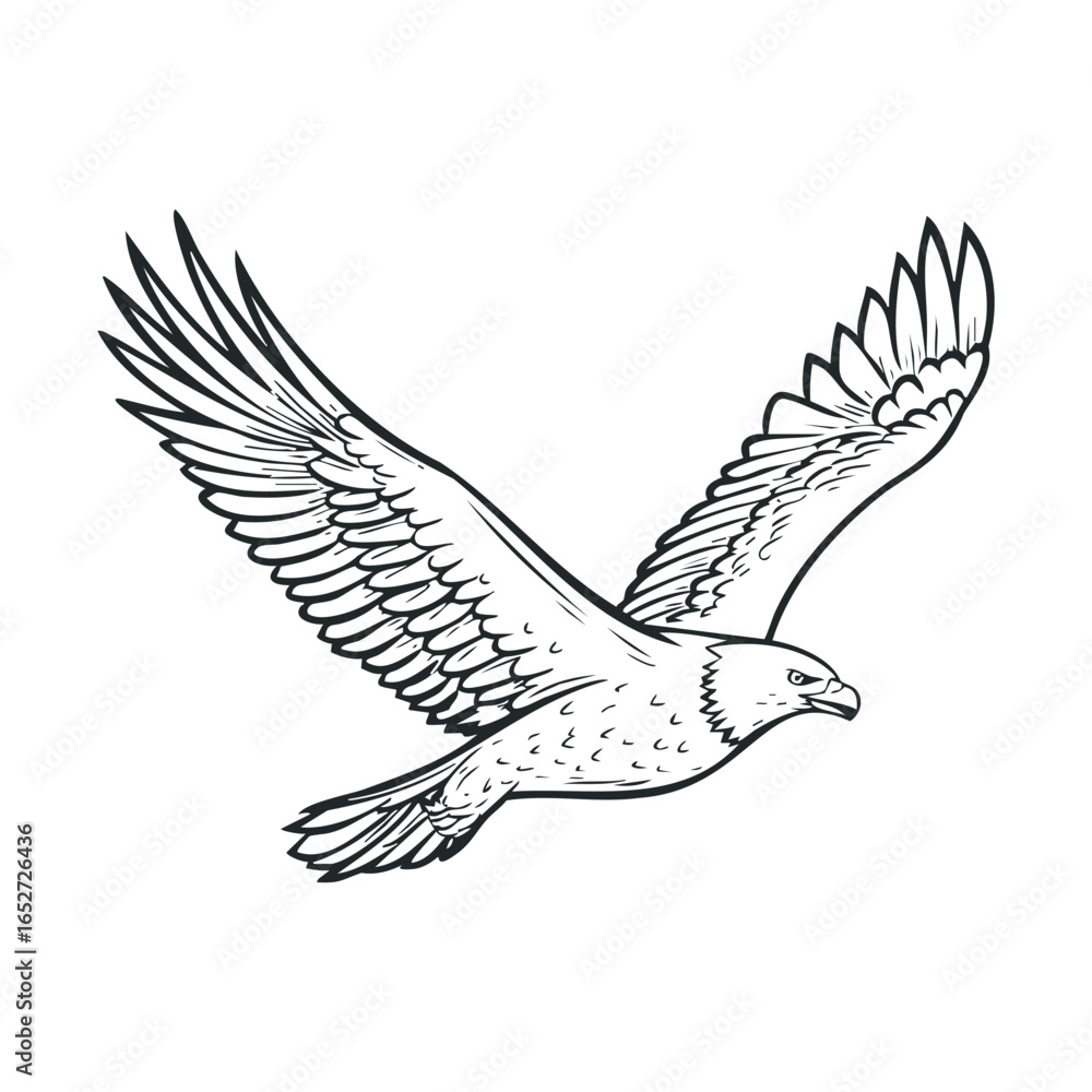 Fototapeta premium Eagle soaring at sunset, showcasing its wings and features