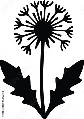 Vector Illustrator Dandelion flower with stem and leaves Silhouette
