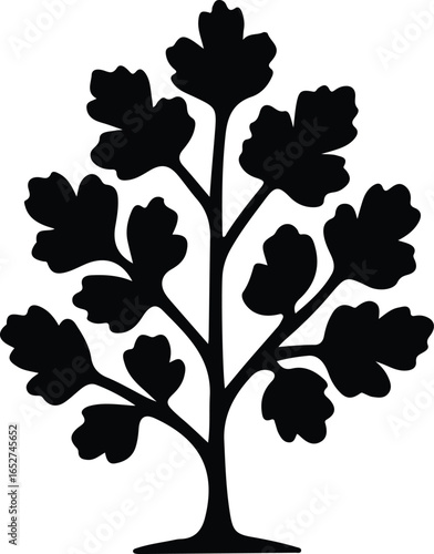 Vector Illustrator Parsley herb plant design black and white Silhouette