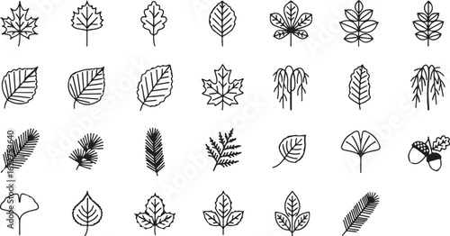 Vector art of collection of various handdrawn leaf illustrations isolated on white background, representing different tree species and autumn colors