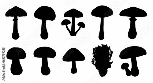 Mushroom Species Silhouette Set on White Background – Edible, Wild, Poisonous, Toadstool, Fantasy, and Forest Fungi Vector Silhouettes Collection Isolated