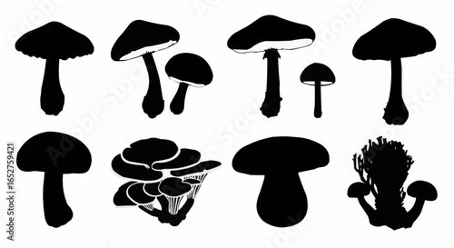 Mushroom Species Silhouette Set on White Background – Edible, Wild, Poisonous, Toadstool, Fantasy, and Forest Fungi Vector Silhouettes Collection Isolated
