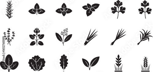 Vector art of collection of black and white icons representing various culinary herbs and leafy greens, isolated on a white background for easy use in design projects