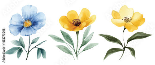 Watercolor illustration of blue and yellow wildflowers with green leaves