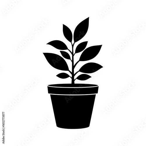 transparent background plant pot isolated silhouette for design projects