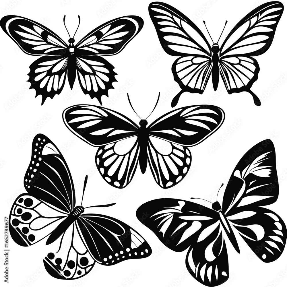 Fototapeta premium Four Elegant Black and White Butterfly Illustrations: Perfect for Design Projects