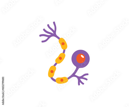 Neuron with round cell body and long axon, in purple and yellow flat color style