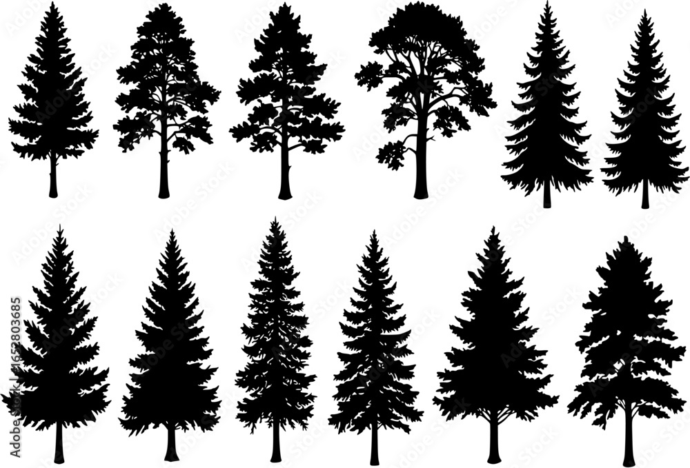 Obraz premium Pine tree silhouettes. Evergreen forest firs and spruces black shapes, wild nature trees templates. Vector illustration woodland trees set on white background